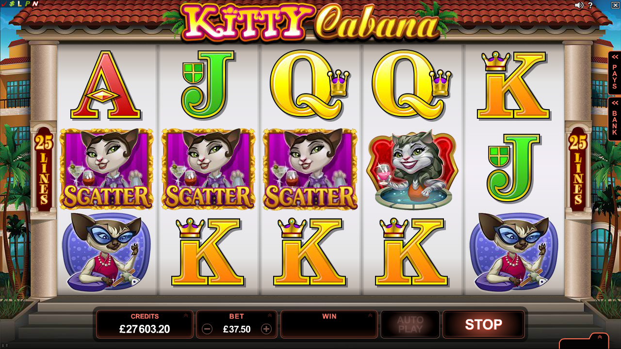 Правила игры Kitty Cabana